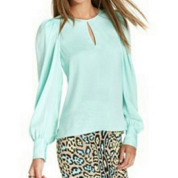 BCBGMaxAzria Tops - BCBGMAXAZRIA mint green blouse